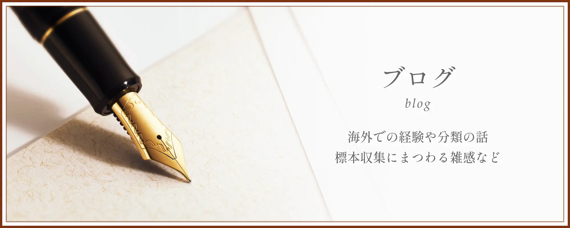 ブログページ。海外での経験や分類の話。標本収集にまつわる雑感など
