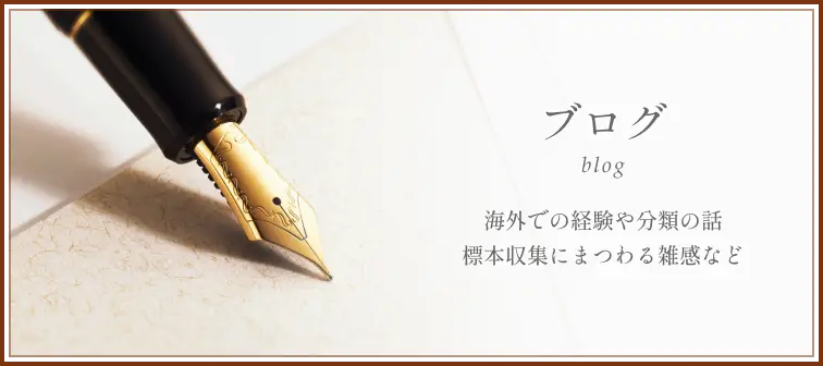 ブログページ。海外での経験や分類の話。標本収集にまつわる雑感など