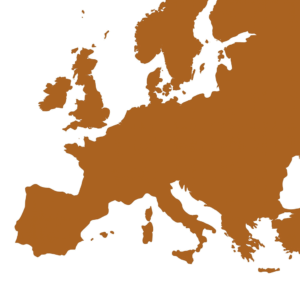 ヨーロッパの虫