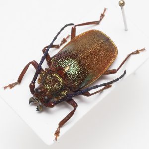 テスト商品_20250104-0119