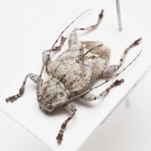 テスト商品_20250105-0118